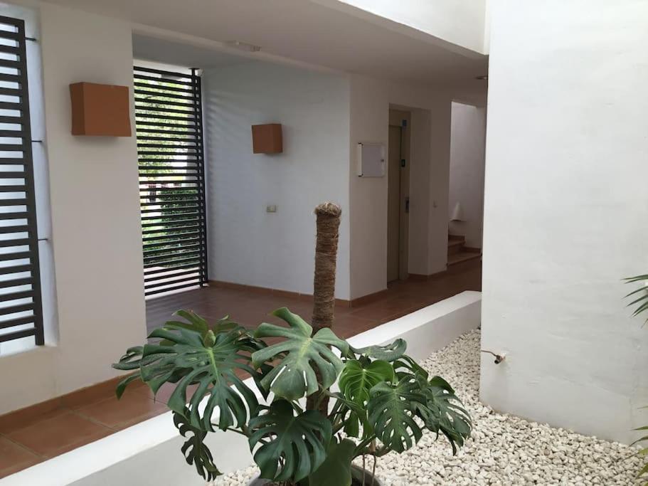 Alcazaba Blue Lagoon 3 Bedroom, Ground Floor Apartment Estepona Exteriör bild